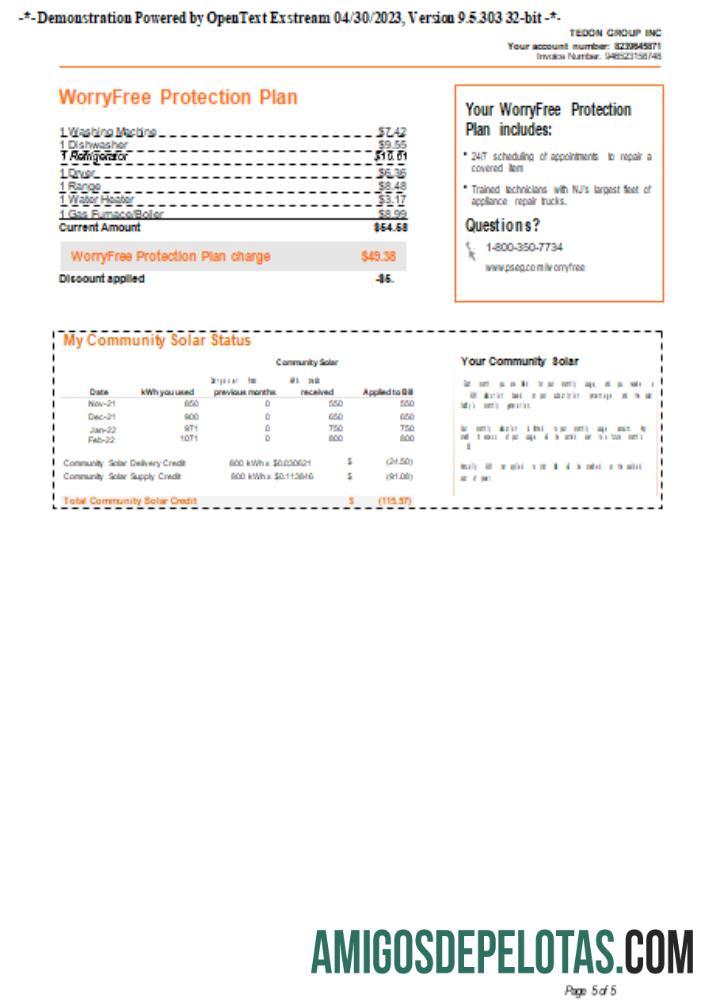 Projeto de lei de serviços públicos PSEG de Nova York, página 5. SCR exemplo